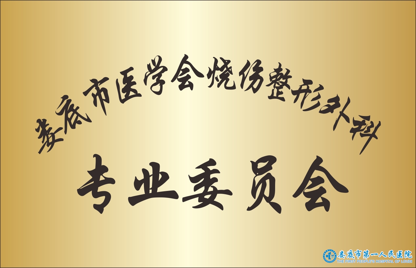 婁底市醫(yī)學(xué)會燒傷整形外科專業(yè)委員會